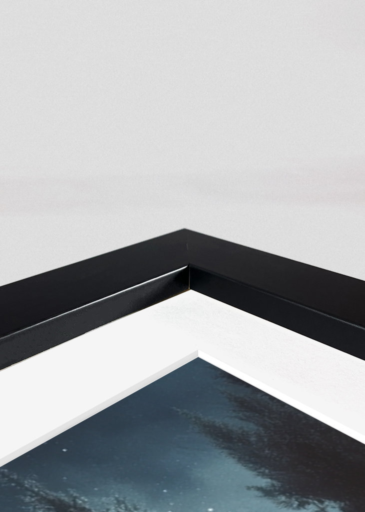 The Wolf's Song to the Moon