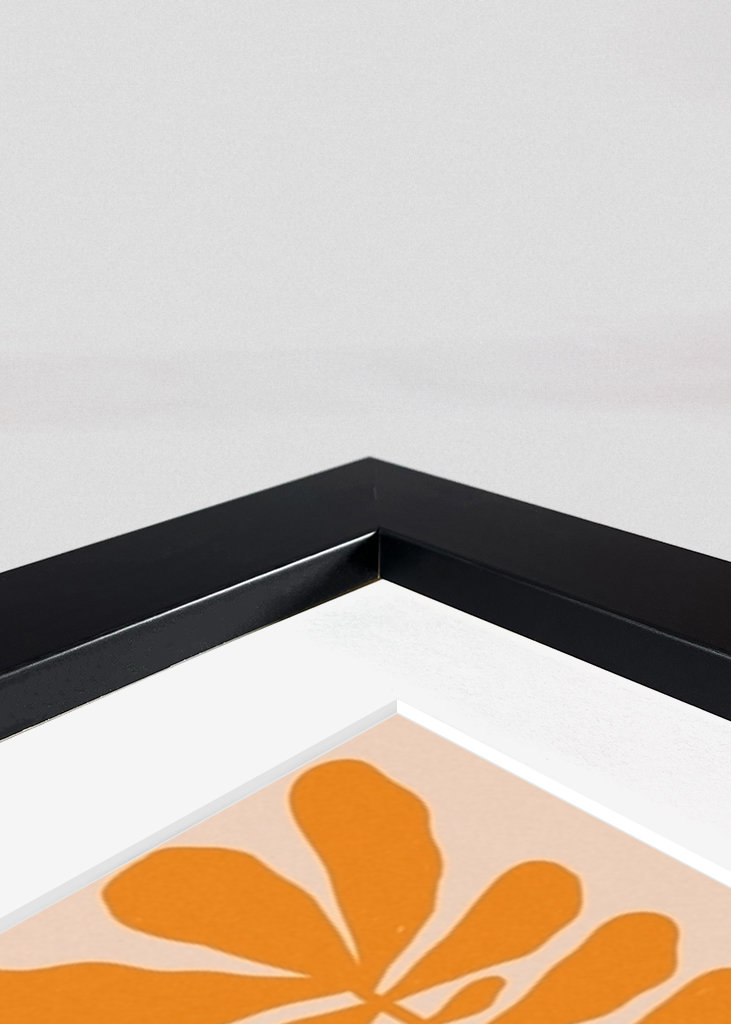 Plante à cent feuilles - Orange