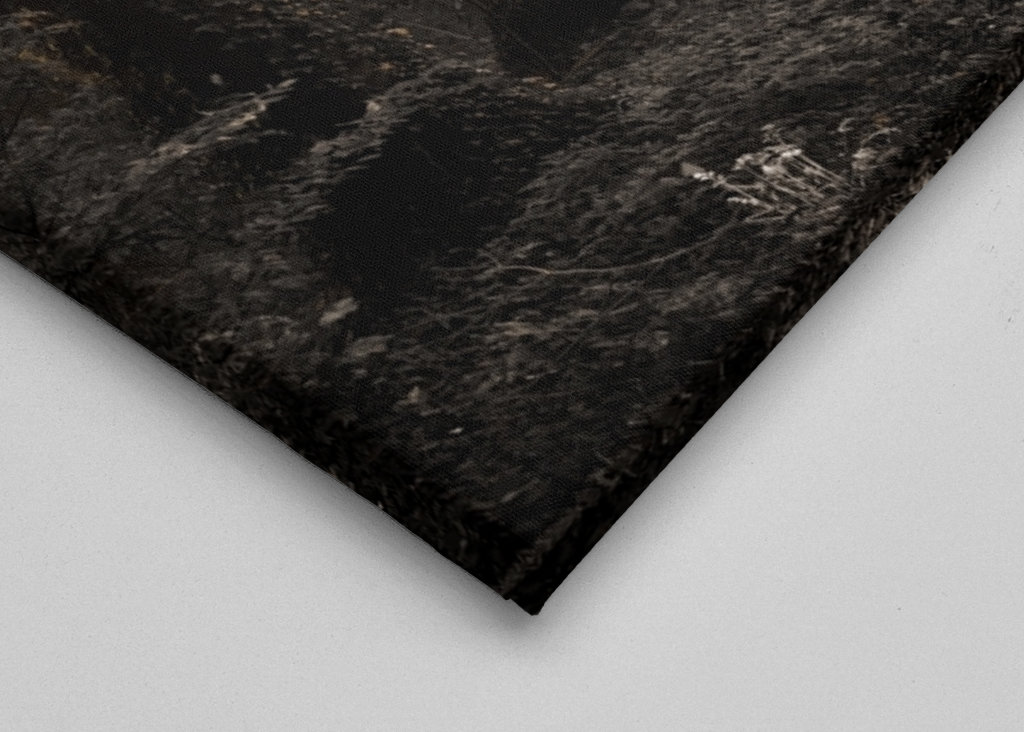 Kouzelná lesní cesta