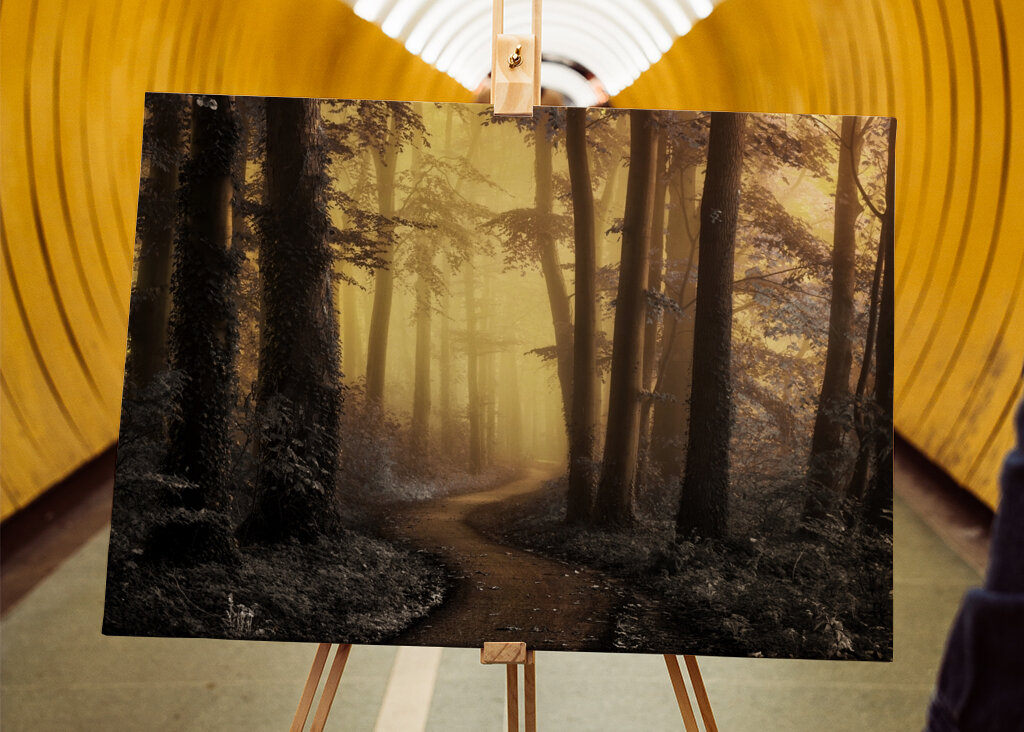 Kouzelná lesní cesta