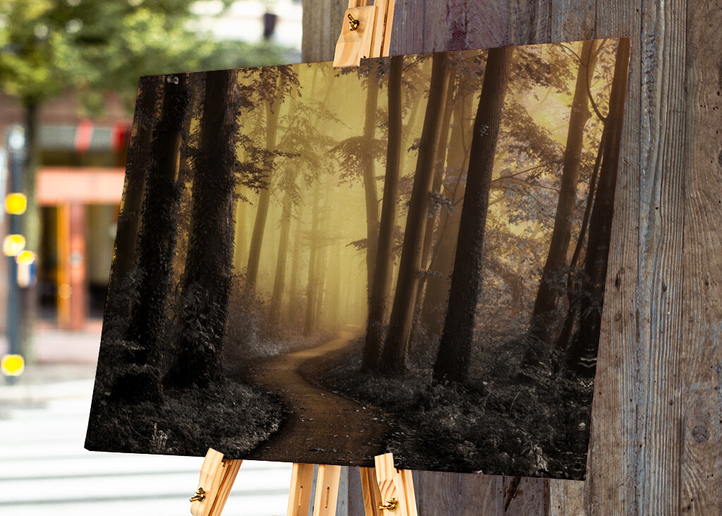 Kouzelná lesní cesta