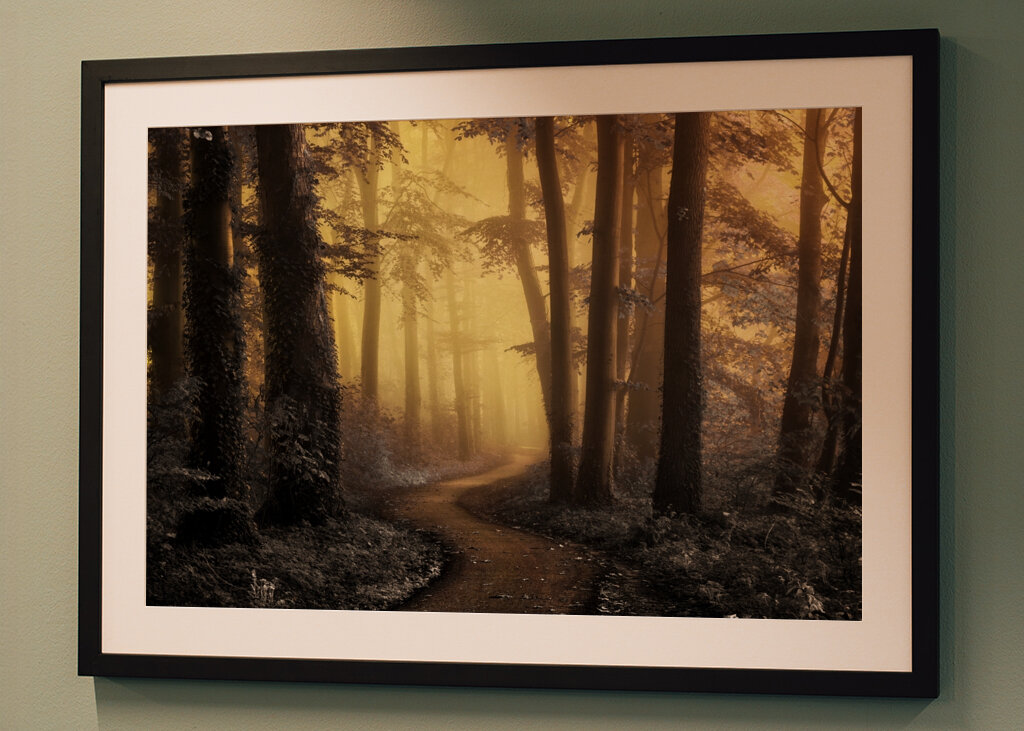 Kouzelná lesní cesta