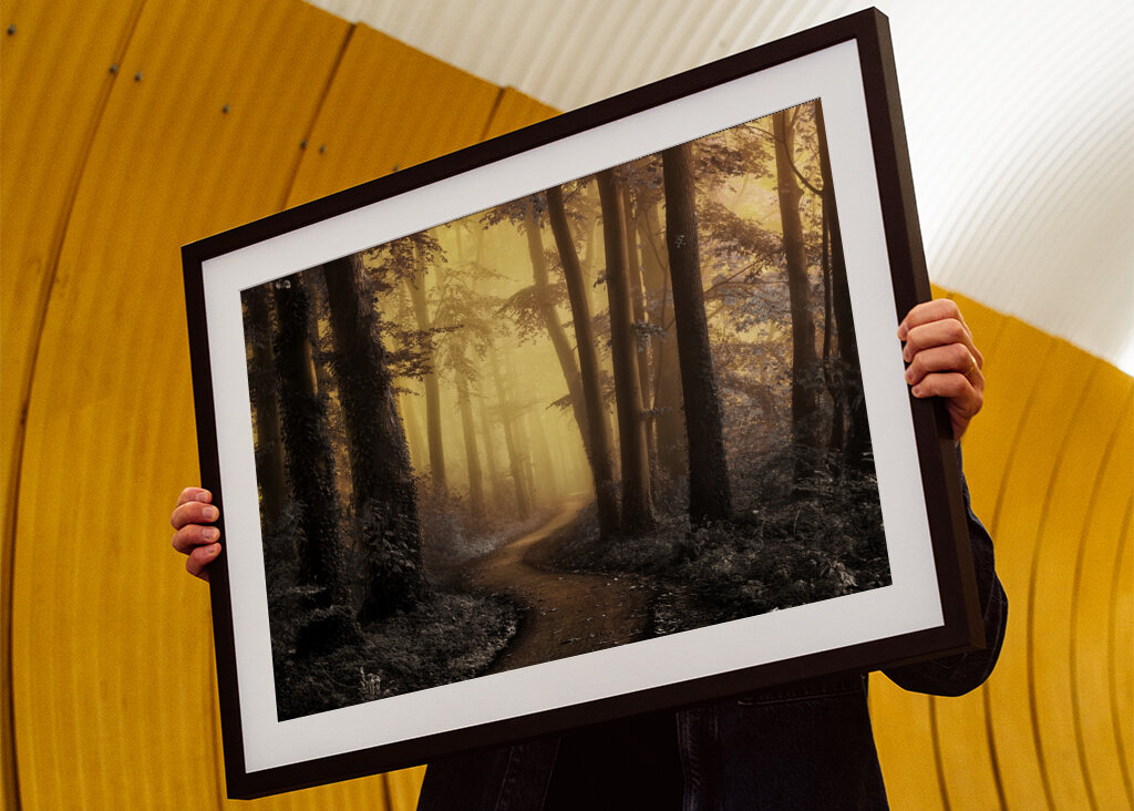 Kouzelná lesní cesta