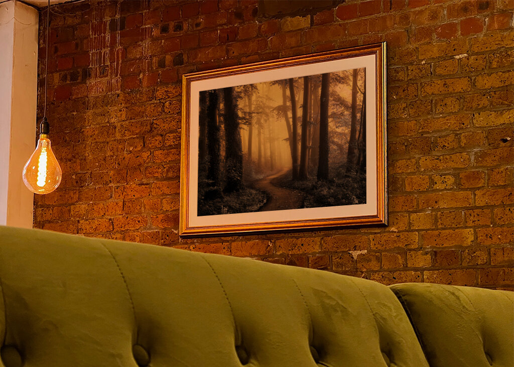 Kouzelná lesní cesta