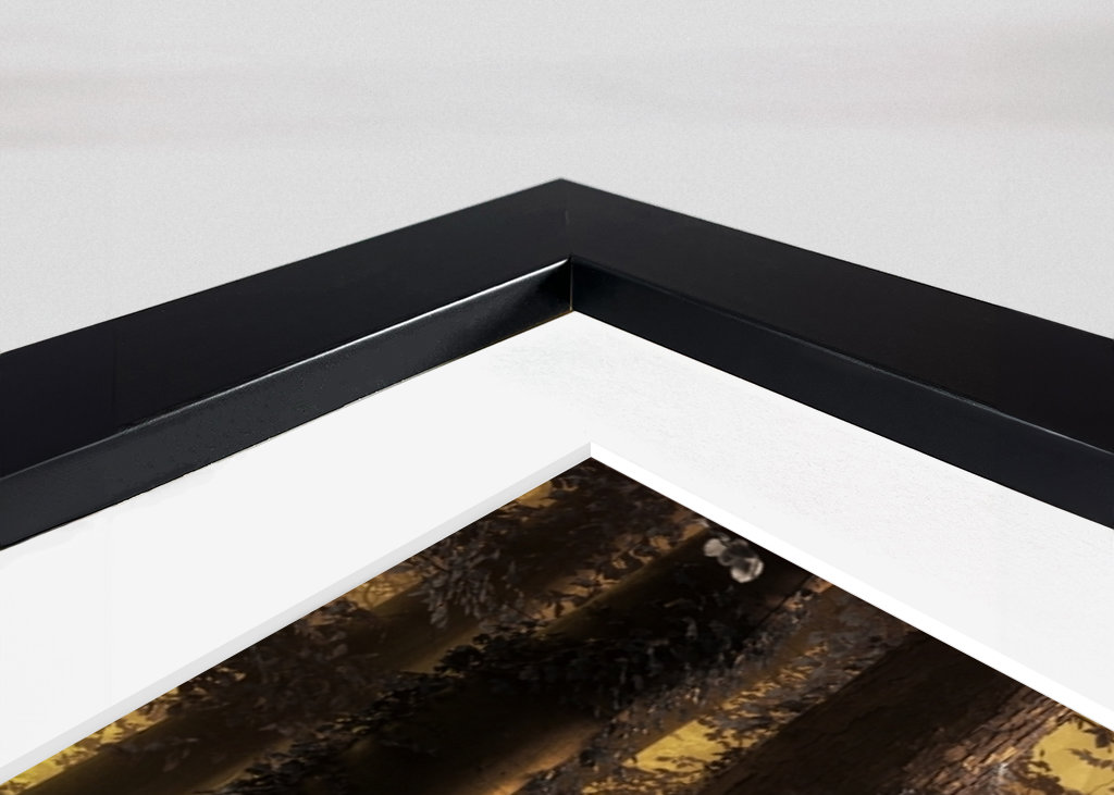 Kouzelná lesní cesta