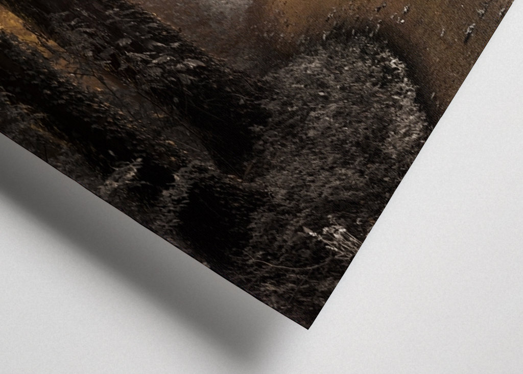 Kouzelná lesní cesta