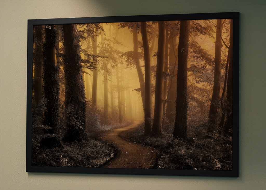 Kouzelná lesní cesta