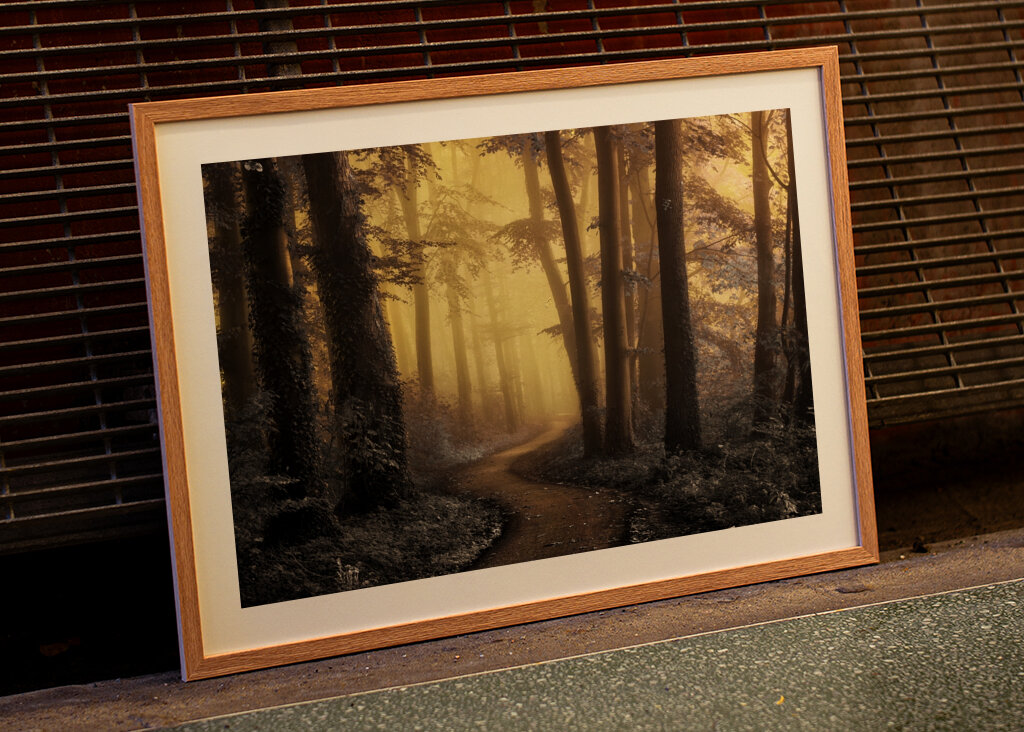 Kouzelná lesní cesta