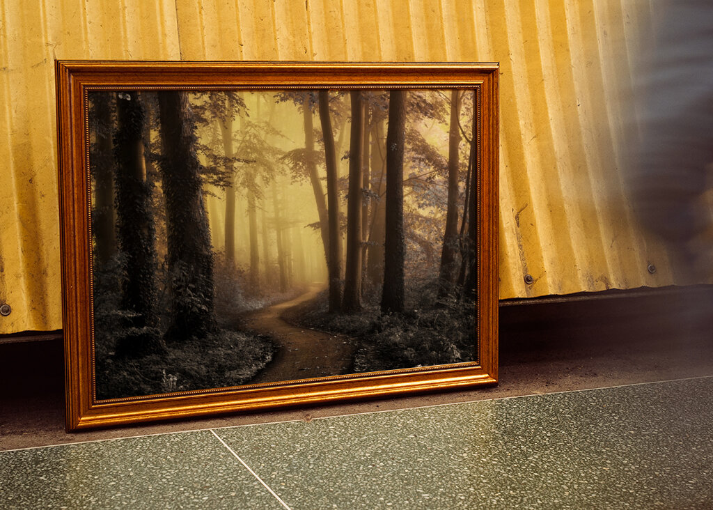 Kouzelná lesní cesta