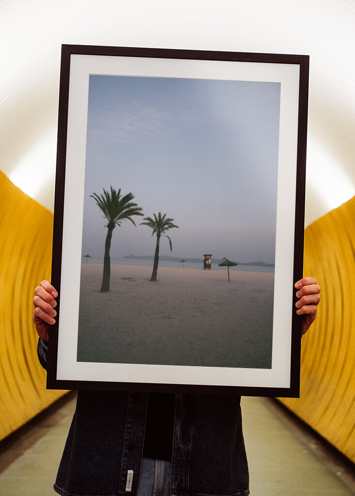 Palmeiras de Mallorca