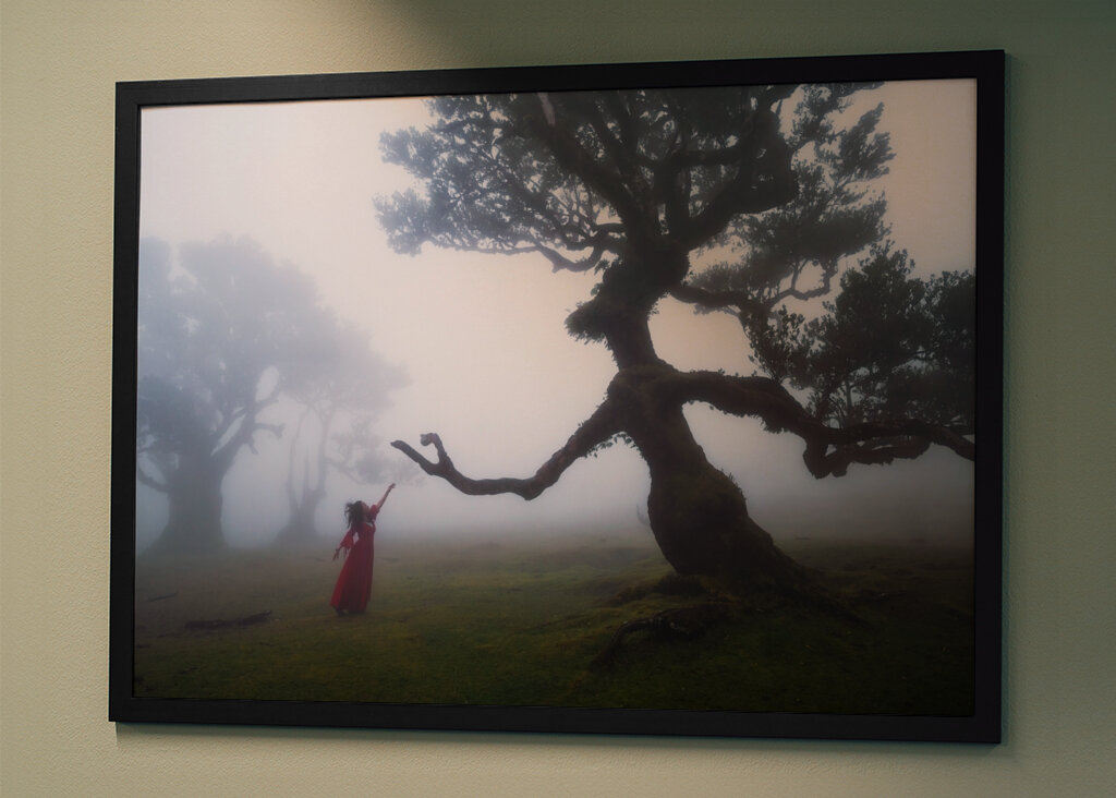 Träd eller trädliknande varelse 