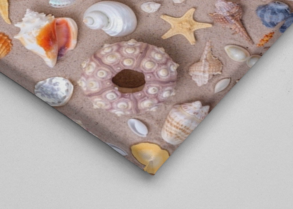 Muslingeskaller kollektion