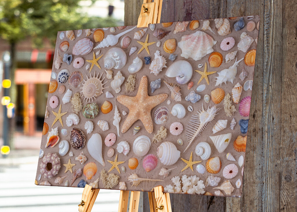 Muslingeskaller kollektion