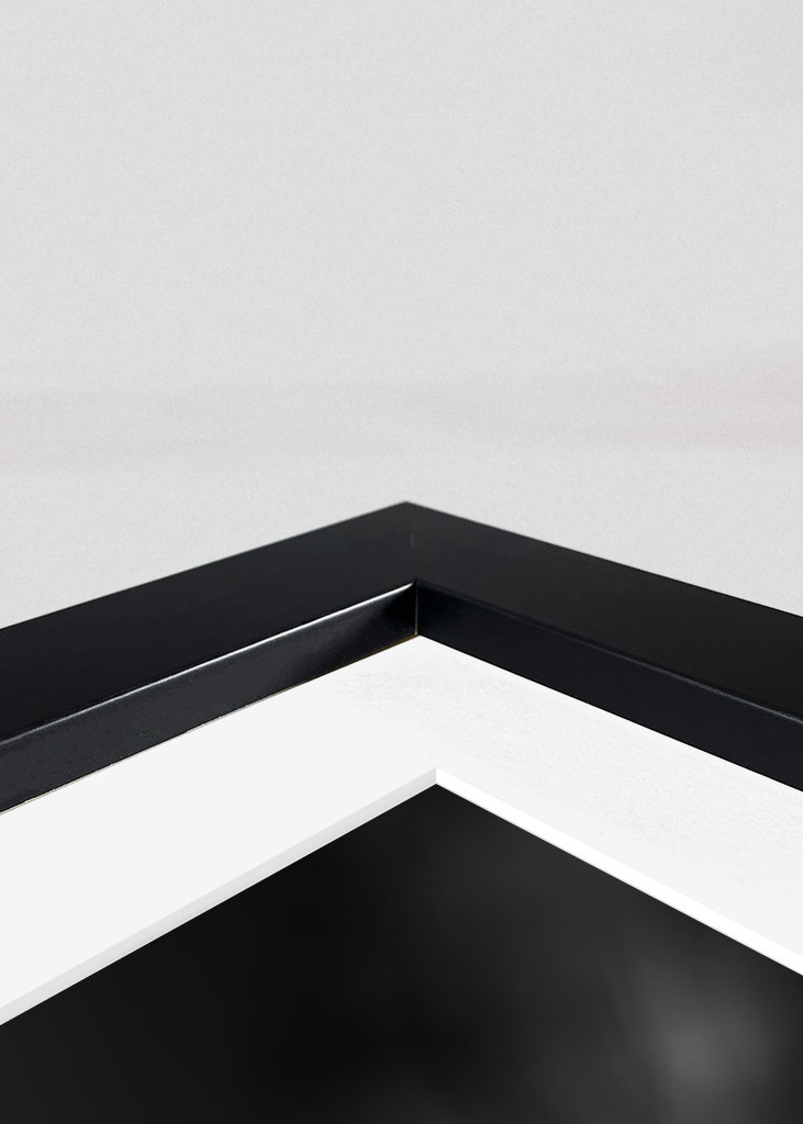 Dramatic Black-and-White Duck