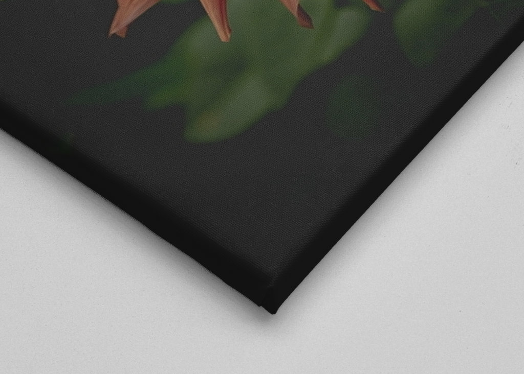 The mystery behind the Dahlia