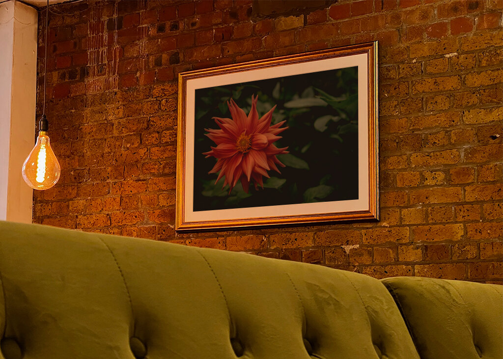 The mystery behind the Dahlia