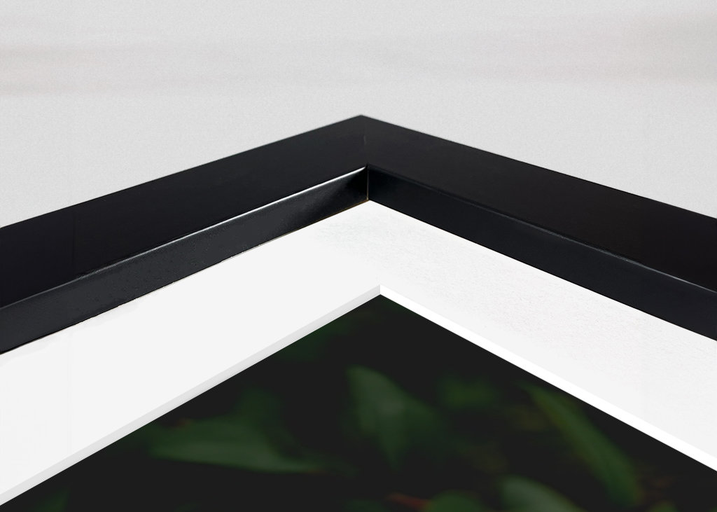 The mystery behind the Dahlia