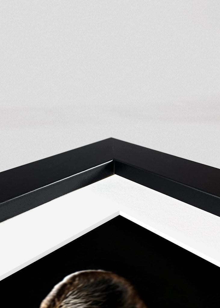 Wild Suits - Cheetah