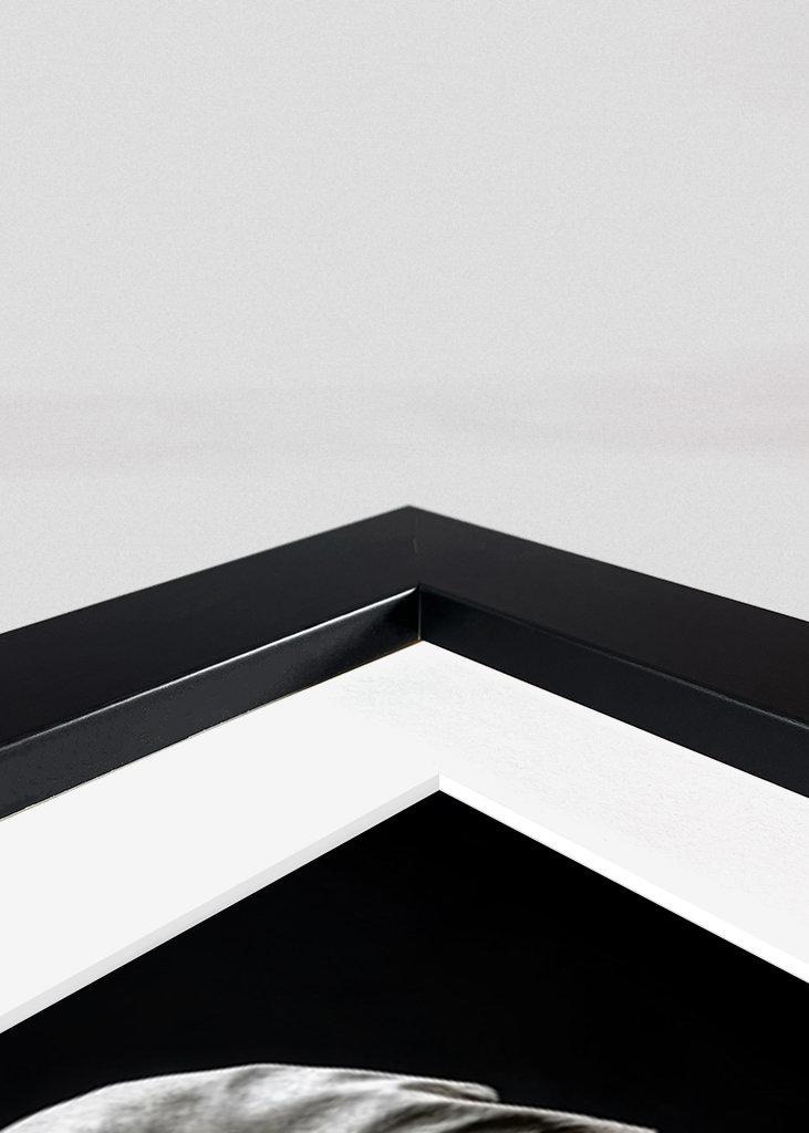 Divoké obleky - Slon