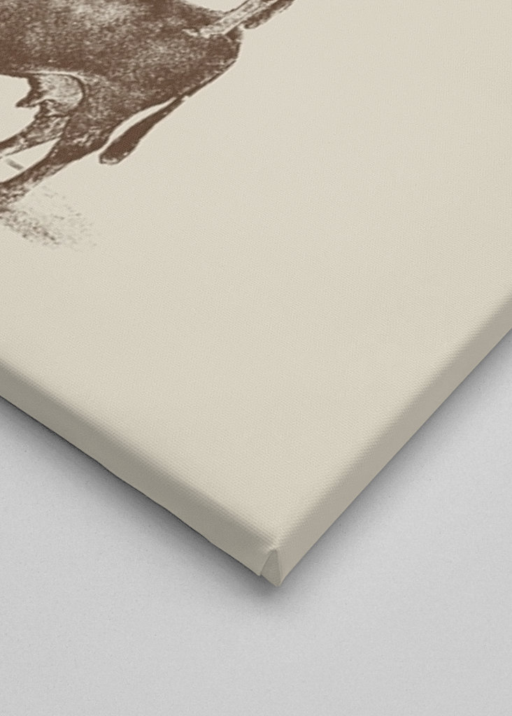 Cow Cow Nuts #2489668