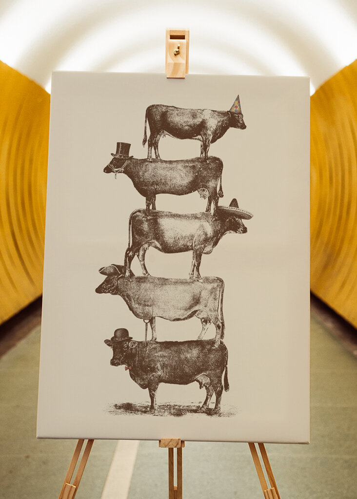 Cow Cow Nuts #2489668