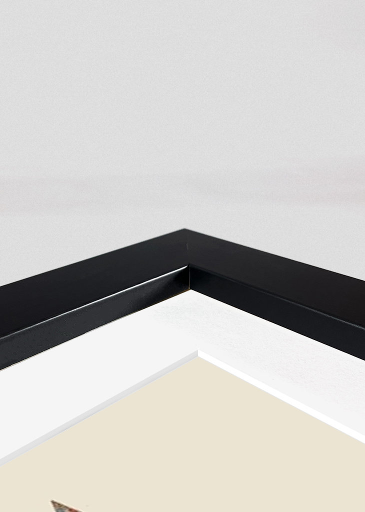 Cow Cow Nuts #2489668