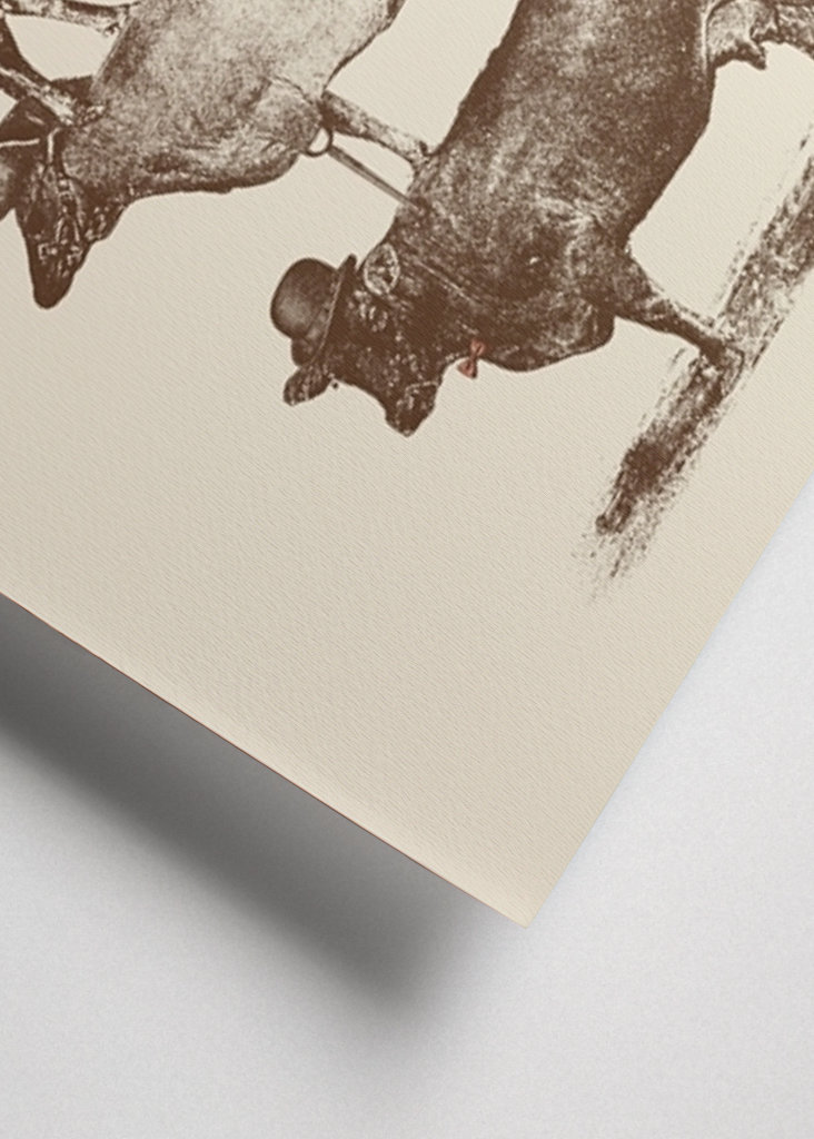 Cow Cow Nuts #2489668