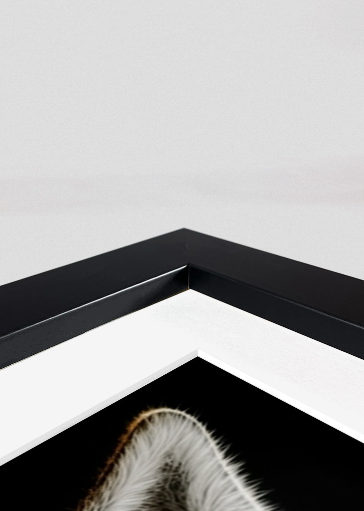 Vilde dragter - Kænguru