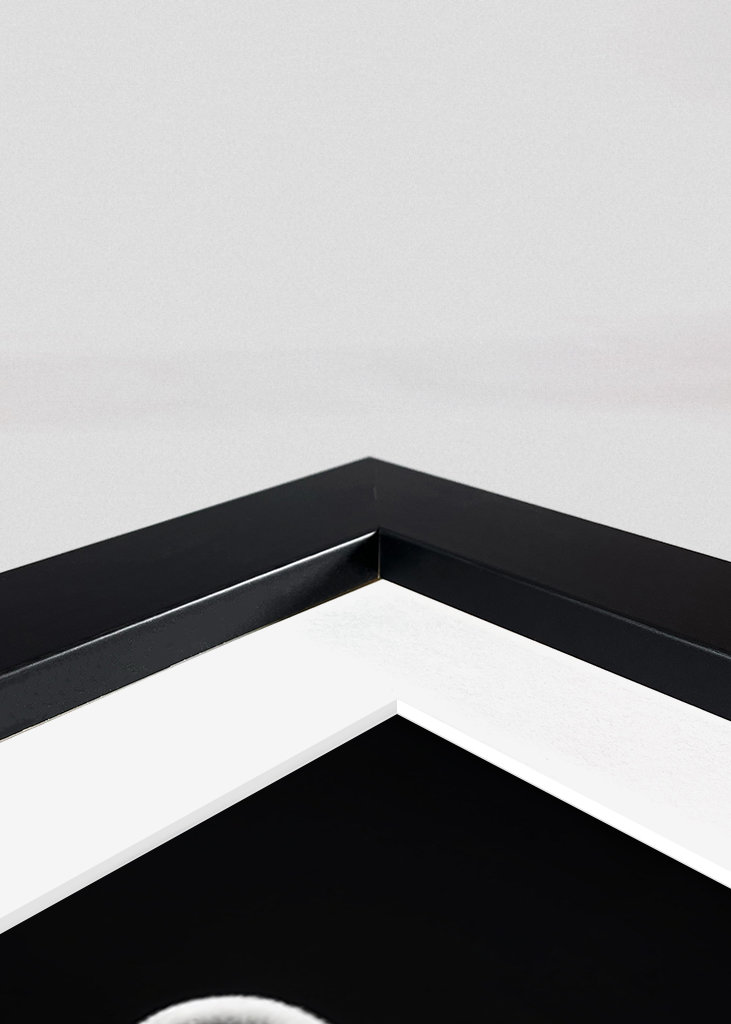 Wild Suits - Isbjørn