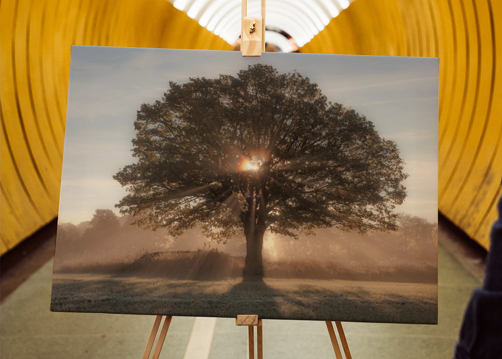 Alberi retroilluminati