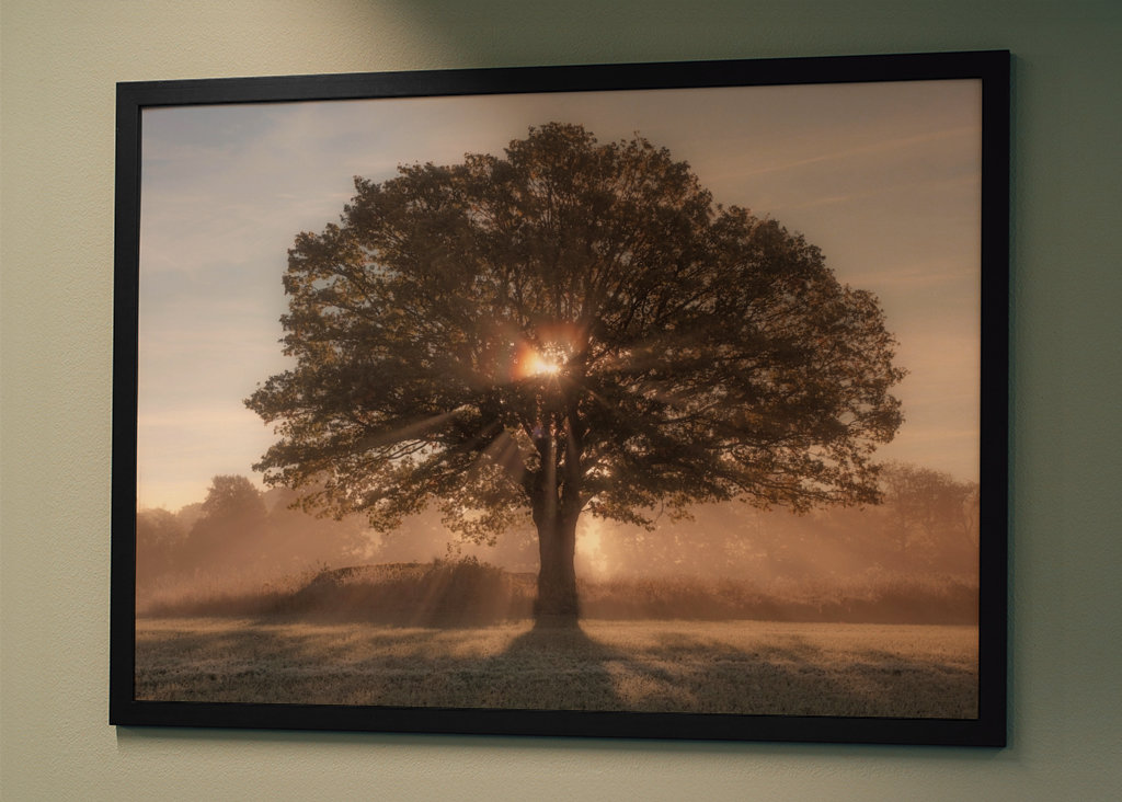 Alberi retroilluminati