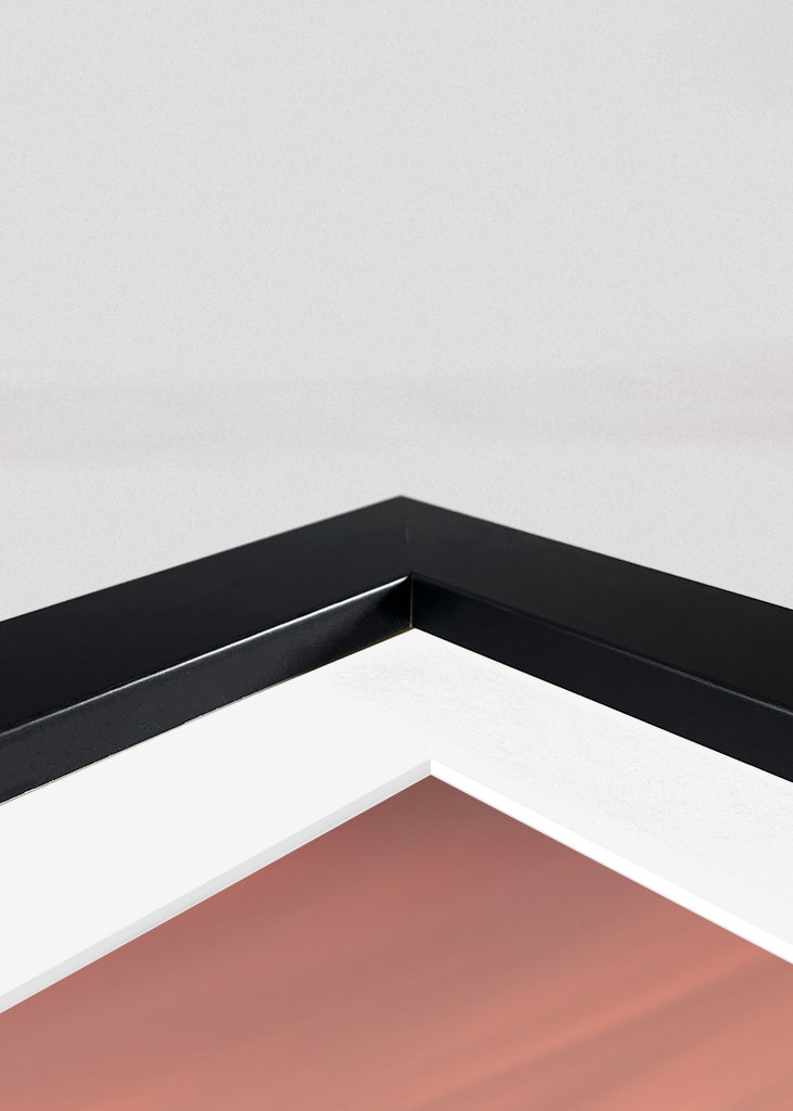 Transistion to the night