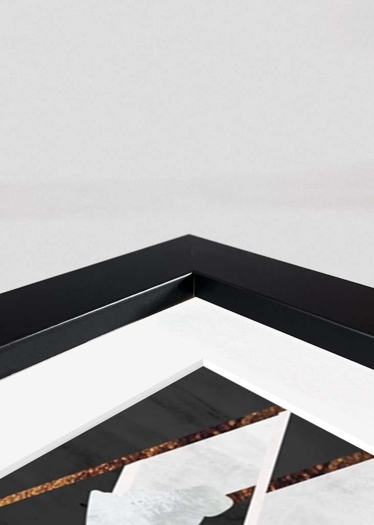 Šachy černá a zlatá 1 #246856