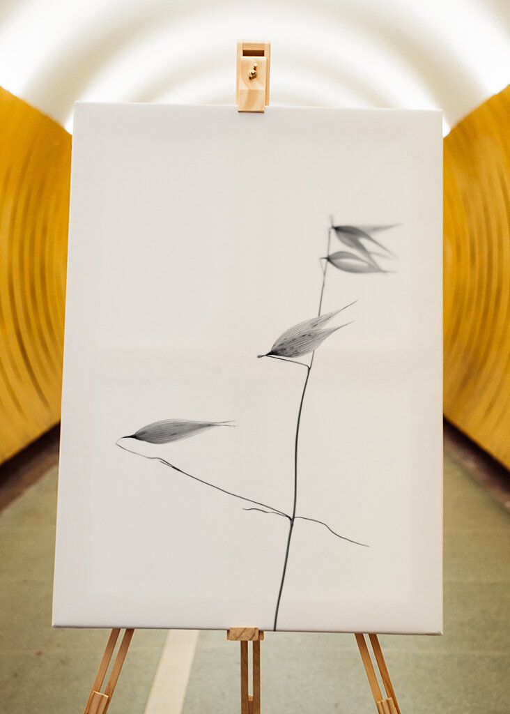 In light of current events IV