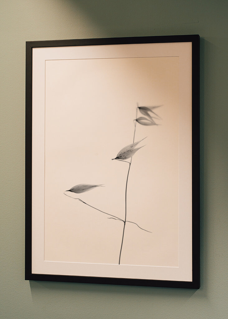 In light of current events IV