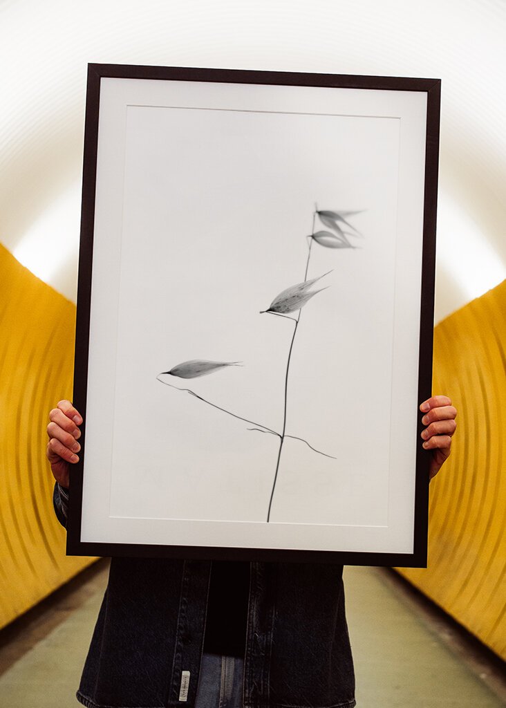 In light of current events IV