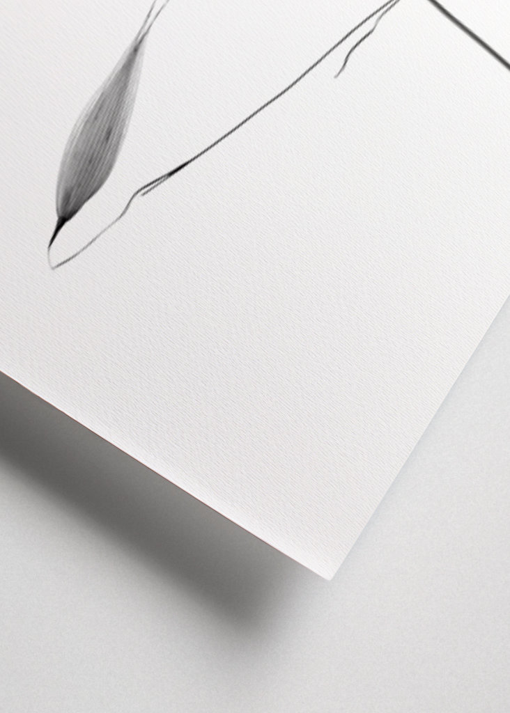 In light of current events IV