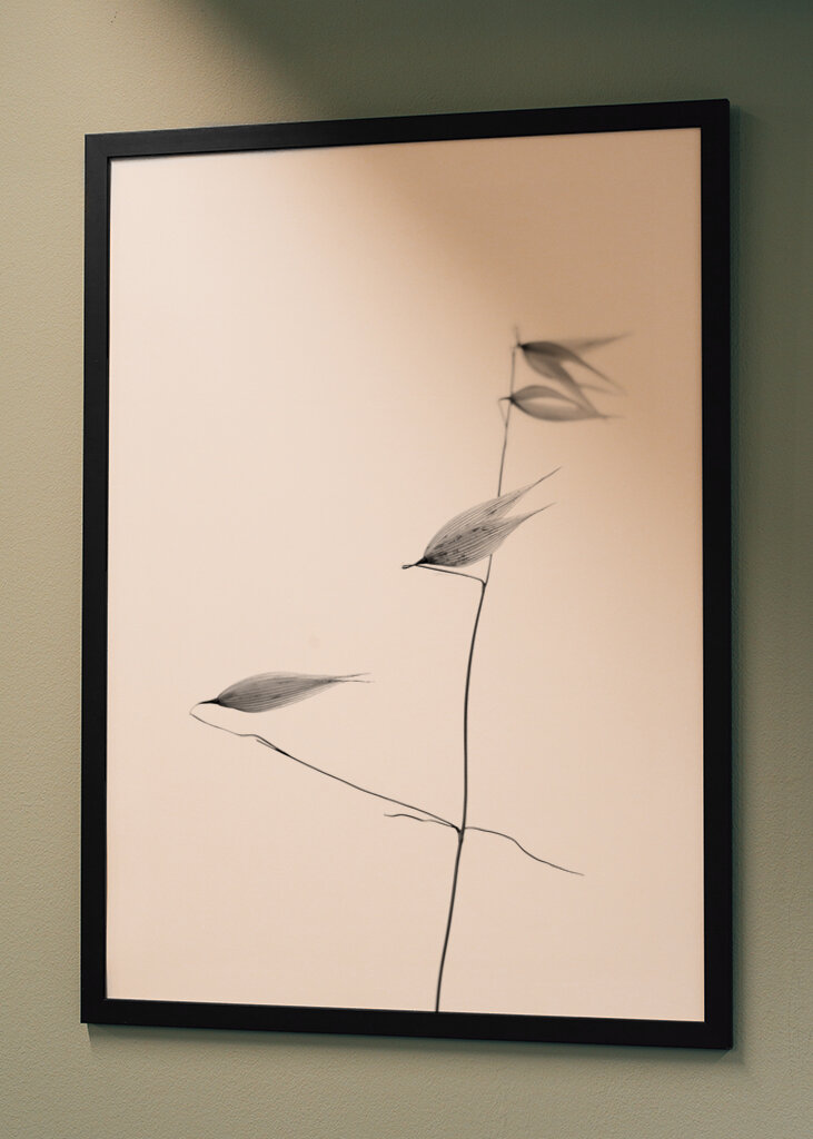 In light of current events IV