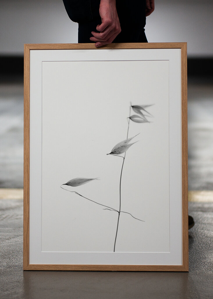 In light of current events IV