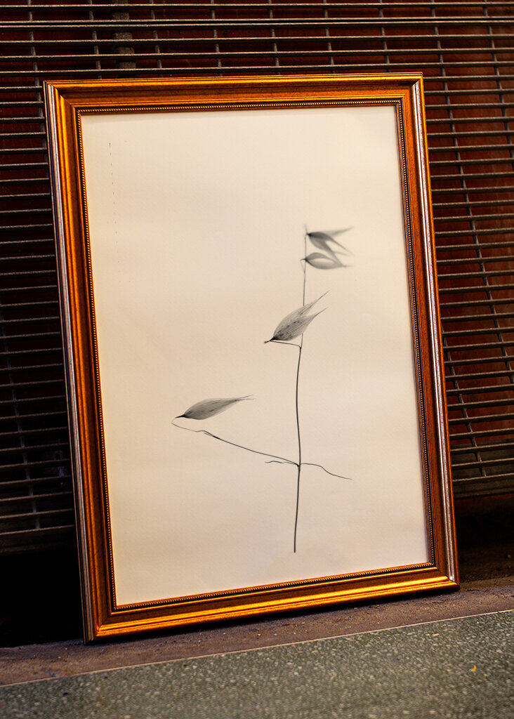 In light of current events IV