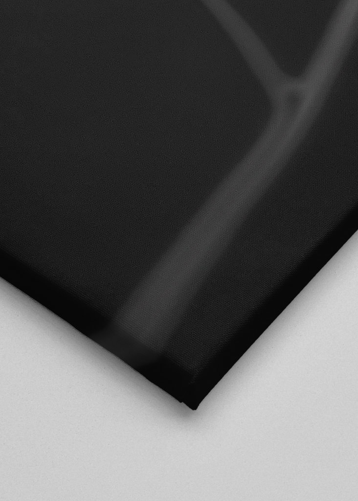 In light of current events VII