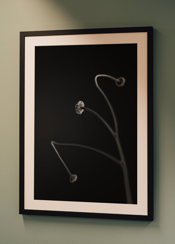 In light of current events VII