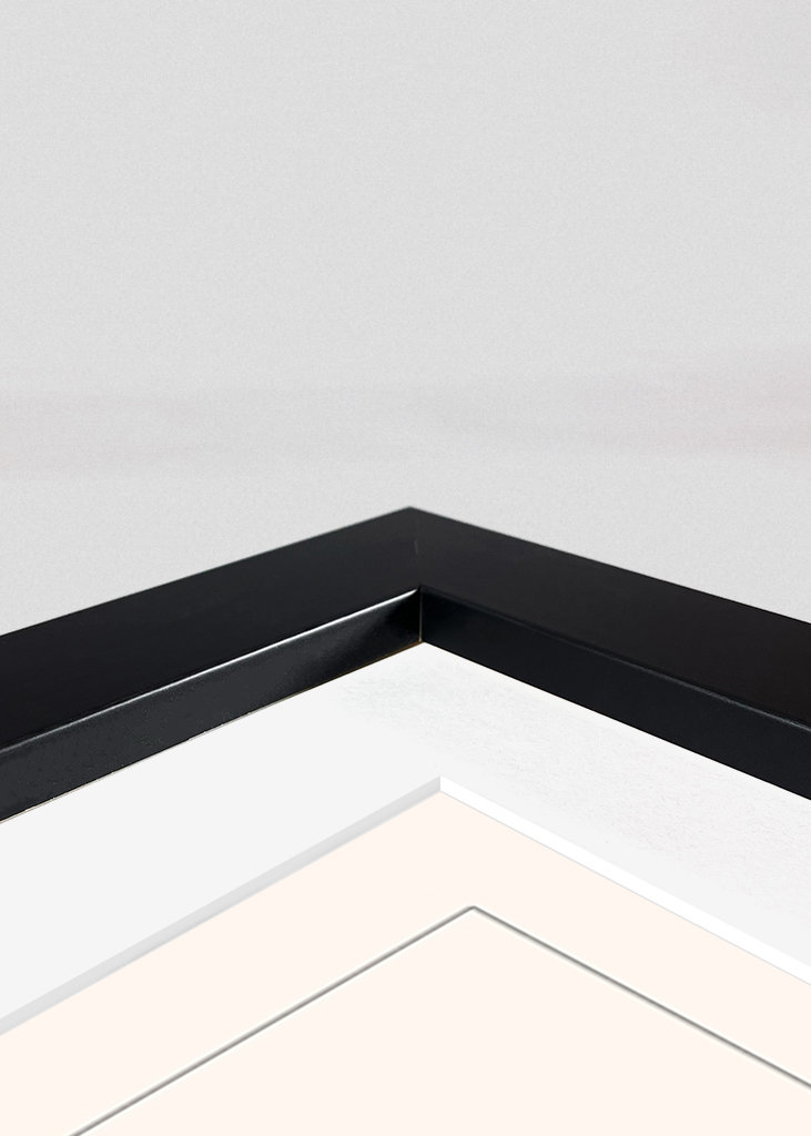 Bicyclettes #2489678