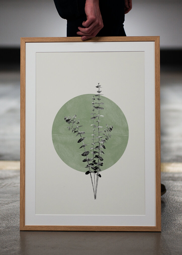 Eukalyptus a Měsíc #2260812