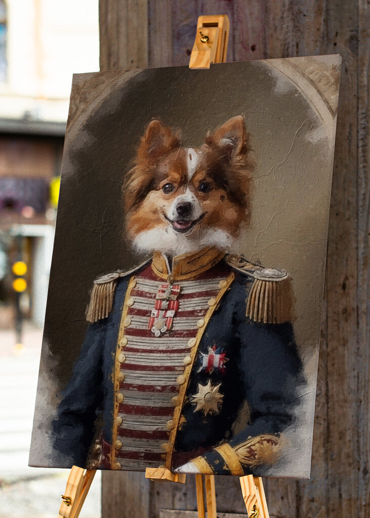 Regal Papillon i uniform