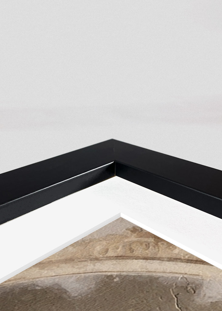 Regal Papillon i uniform