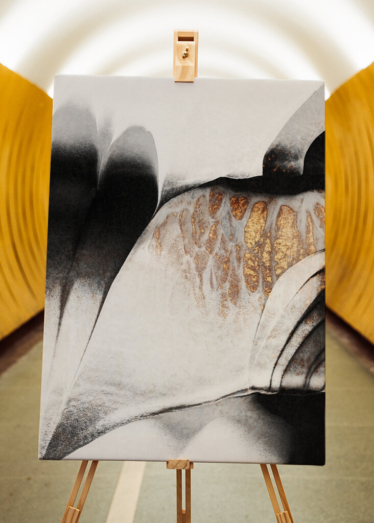 Zlaté žíly #2231928