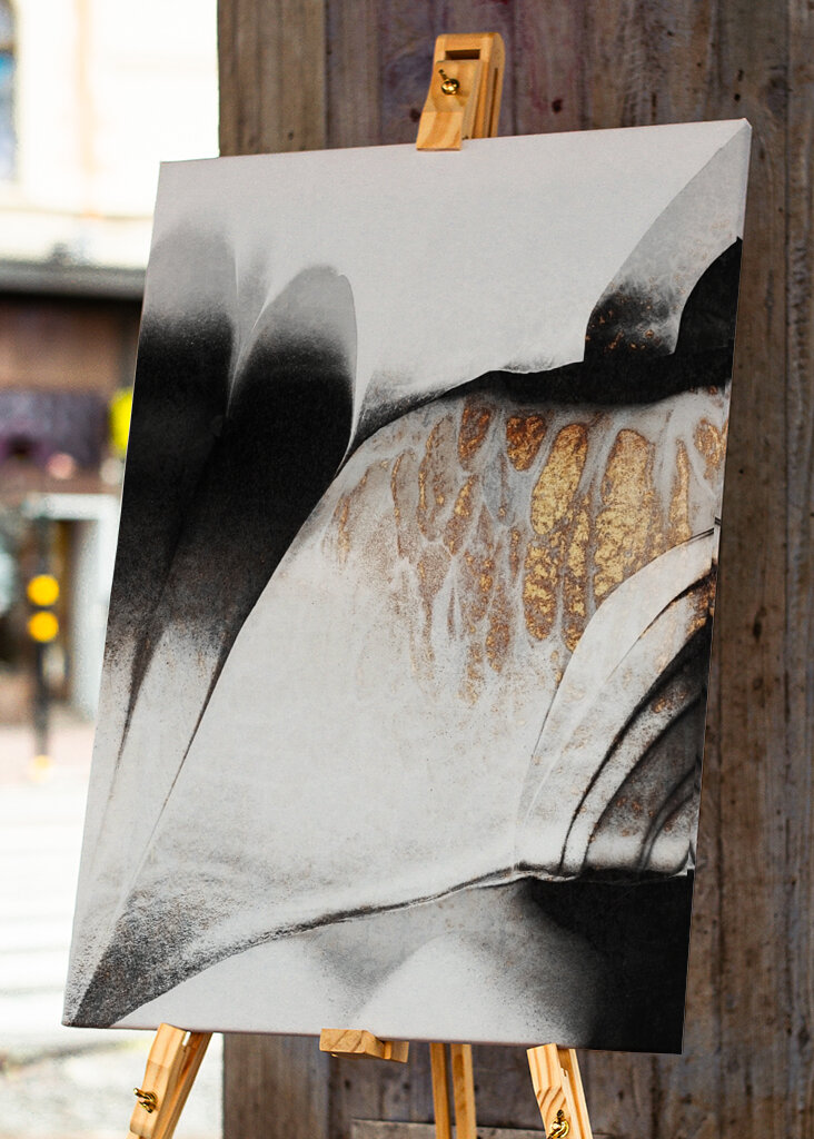 Zlaté žíly #2231928