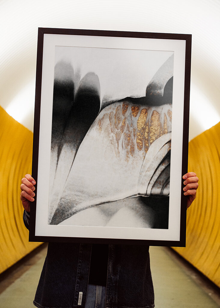 Zlaté žíly #2231928