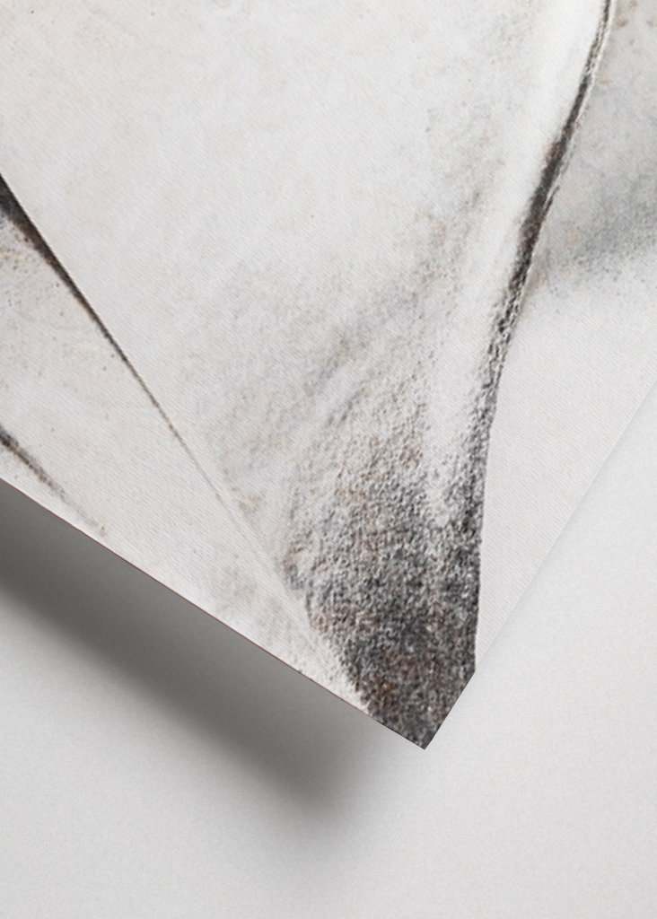 Zlaté žíly #2231928